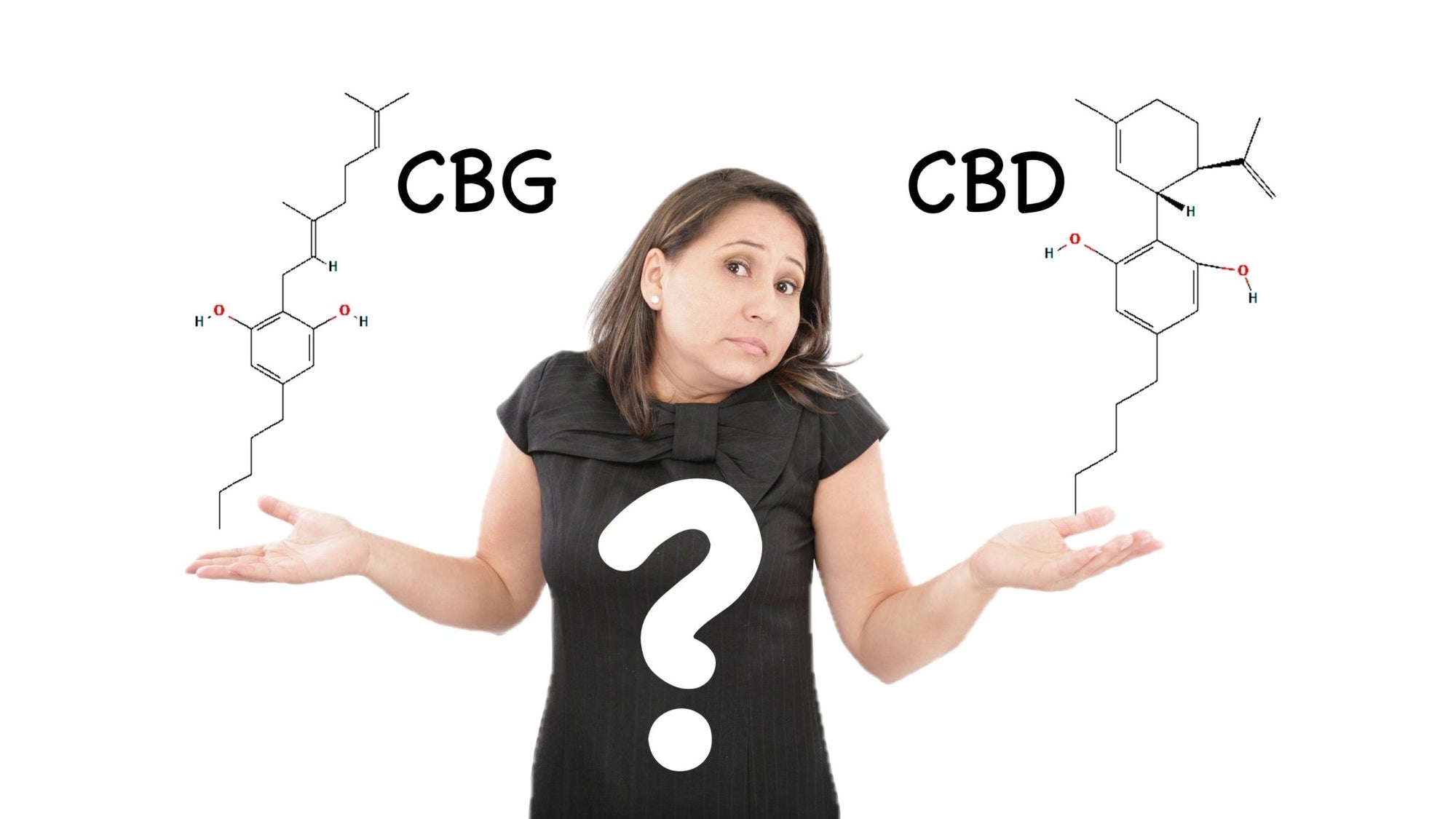 Key Differences of CBG Vs CBD: Is one better than the other? - My Blissful Pet